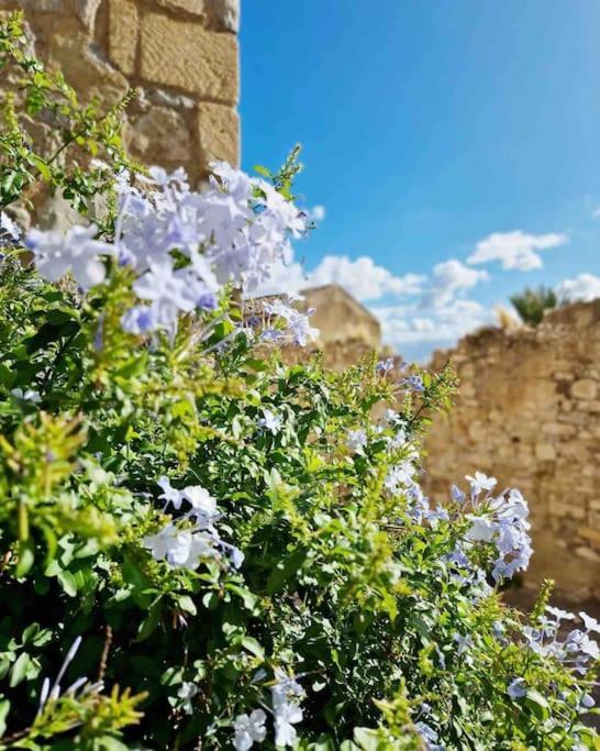 Casa Al Plumbago Villa Termini Imerese Bagian luar foto